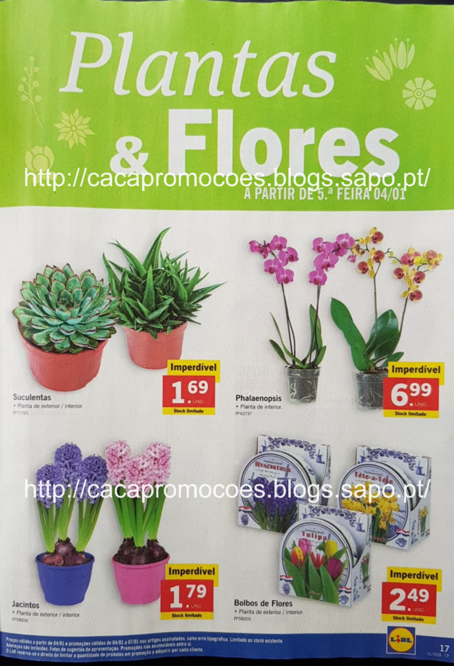 lidl folheto_Page17.jpg