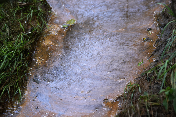 _DSC9144.JPG