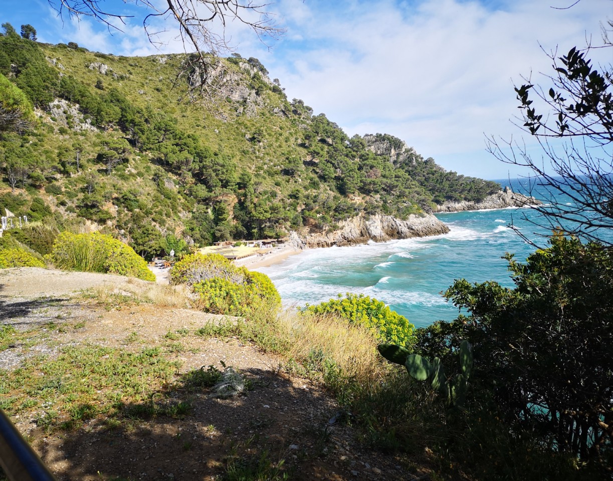 IMG_20190506_070917.jpg IMG_20190506_070917.jpg