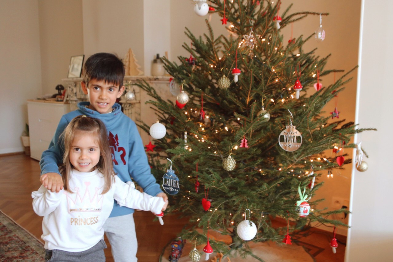 decoração de natal com pinheiro natural