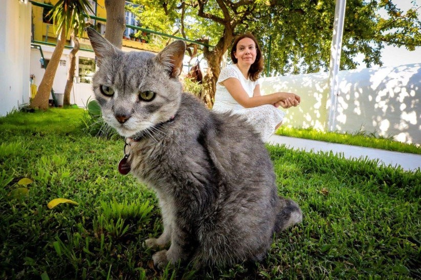 1274519[1].jpg