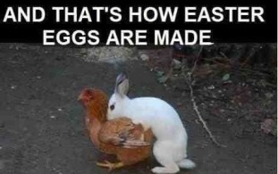 easter20141.jpg