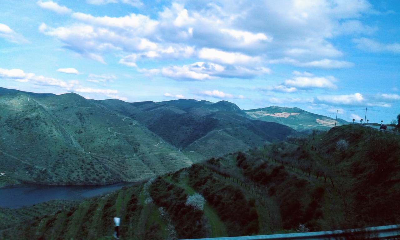 20170226_154745.jpg