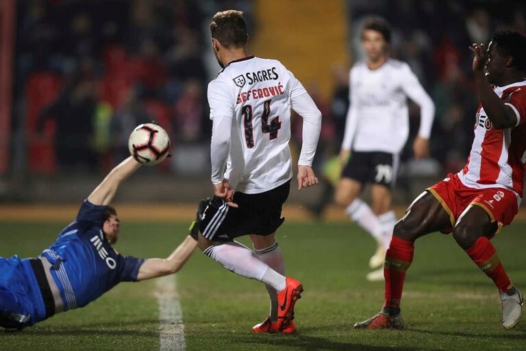 Seferovic_aves_benfica.jpg