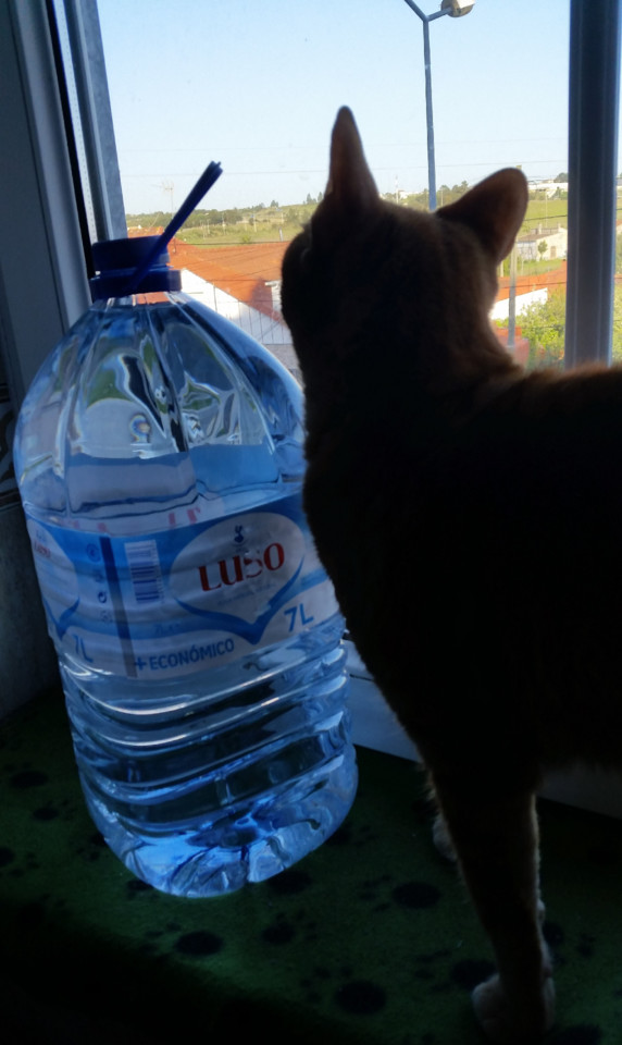 20190328_173119.jpg 20190328_173119.jpg