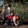 Migrantes sírios a entrar pelo arame, Hungria 