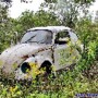 VW.JPG