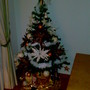 árvore de natal.jpg