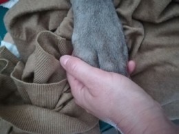 32169679_10212421885318554_6571957698466676736_n.j