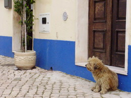 PC310400.JPG