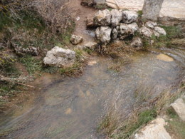 DSC00736.JPG
