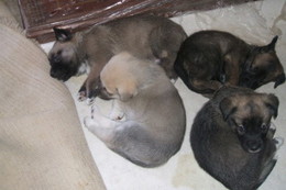 fb_OR5KHILljabrEK2zhQFt