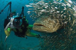 photographerandgoliathgba2.jpg