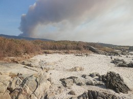 APCA - FLORESTA ARDER.JPG