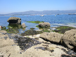 3. R&iacute;a de Arousa.jpg