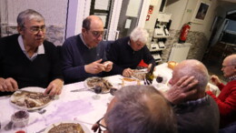 PINHEIRO NATAL AFIFE 25_7698.JPG