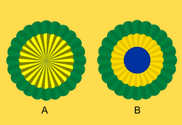 La&ccedil;os Brasil.png