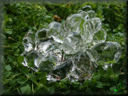 05Fev DSC04422_ms.JPG