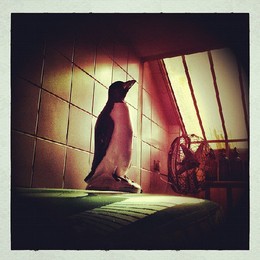 395916_10150508395118310_736578309_8842738_2989221