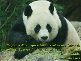 fb_RSzOzuiej7gGQCJ1qSUG