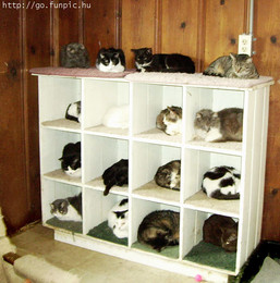 fb_NzKWiHoHWjTh5ER5QAzE