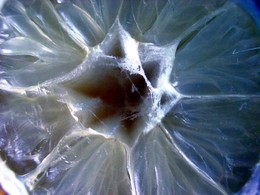 fb_TSDZ11kv1NBd9eKHe4Zq