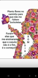 BORBOLETAS.jpg