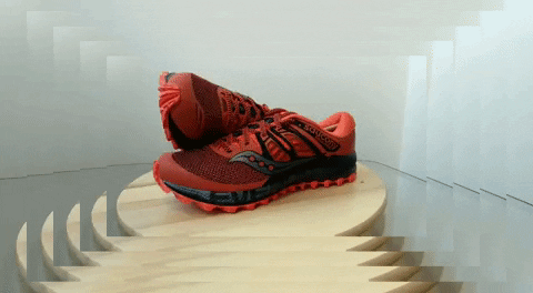 FDB577YofZPLgX525C.gif